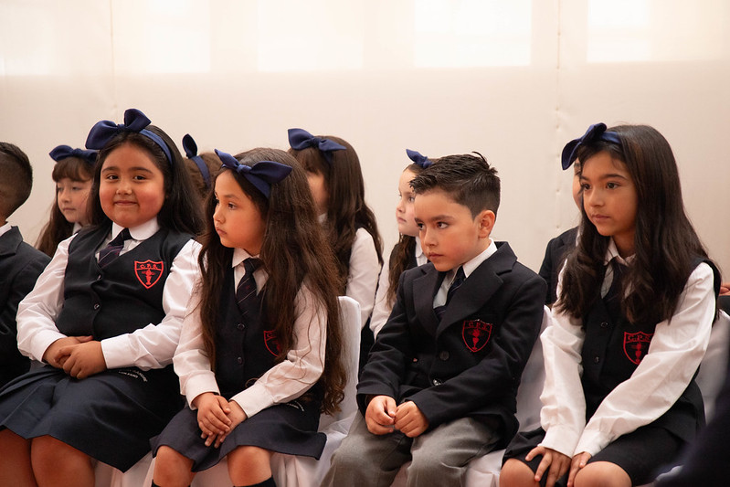 54313695898_d73c7f63dd_c